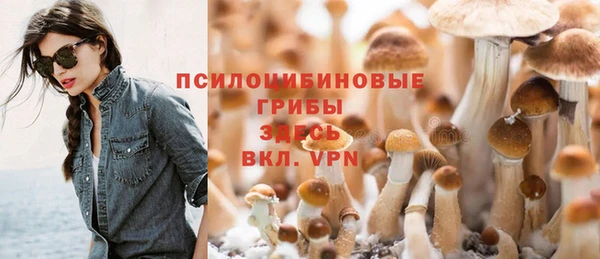 прущие крисы Володарск