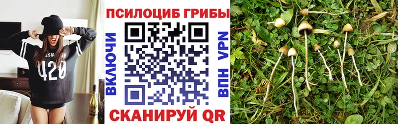 Галлюциногенные грибы Magic Shrooms  Дубовка 