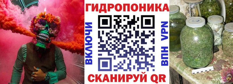 где купить наркоту  Дубовка  Конопля ГИДРОПОН 